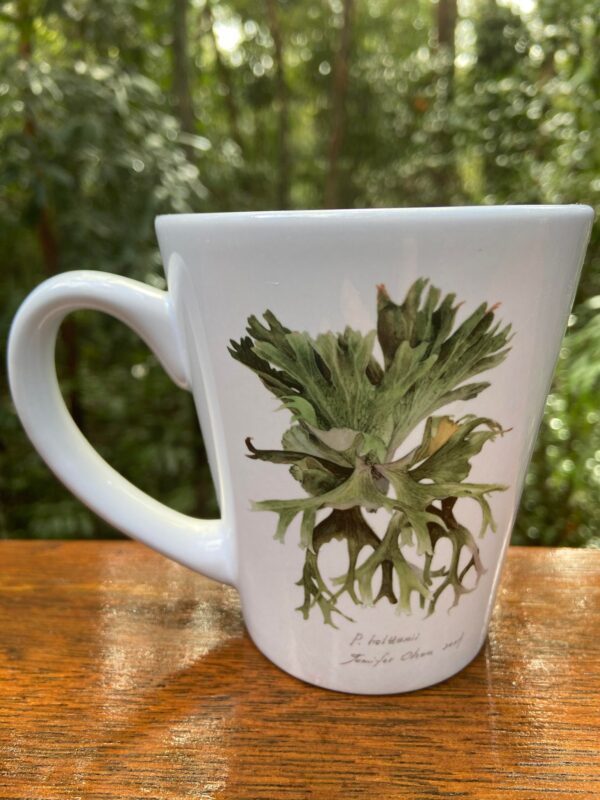 Sophisticated 350ml Platycerium holttumii coffee mug