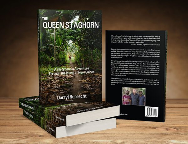 Book - The Queen Staghorn - A Platycerium Adventure through the Island of New Guinea